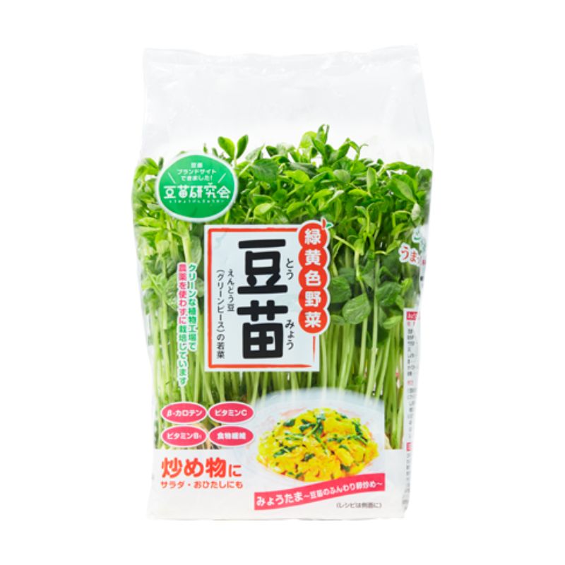 豆苗